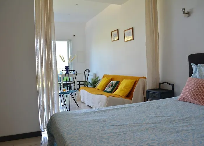 Presqu'ile De Giens Vue *