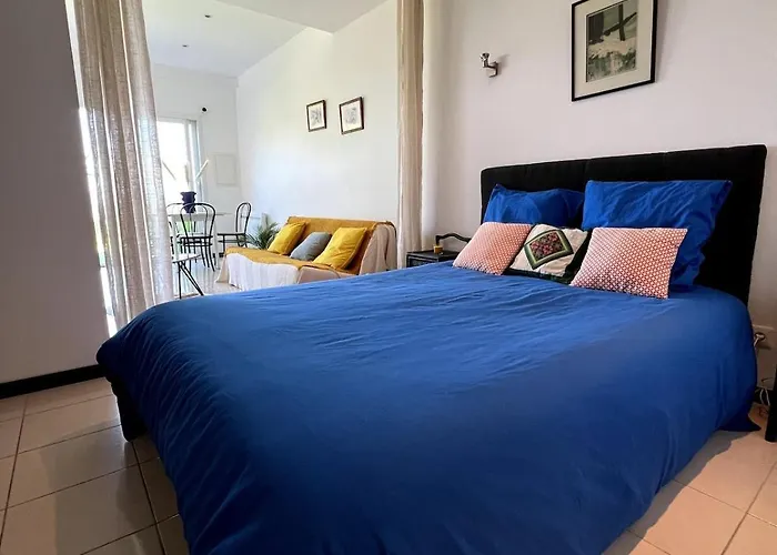 Presqu'ile De Giens Vue Apartment *