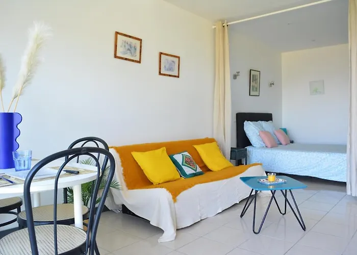 Presqu'ile De Giens Vue *